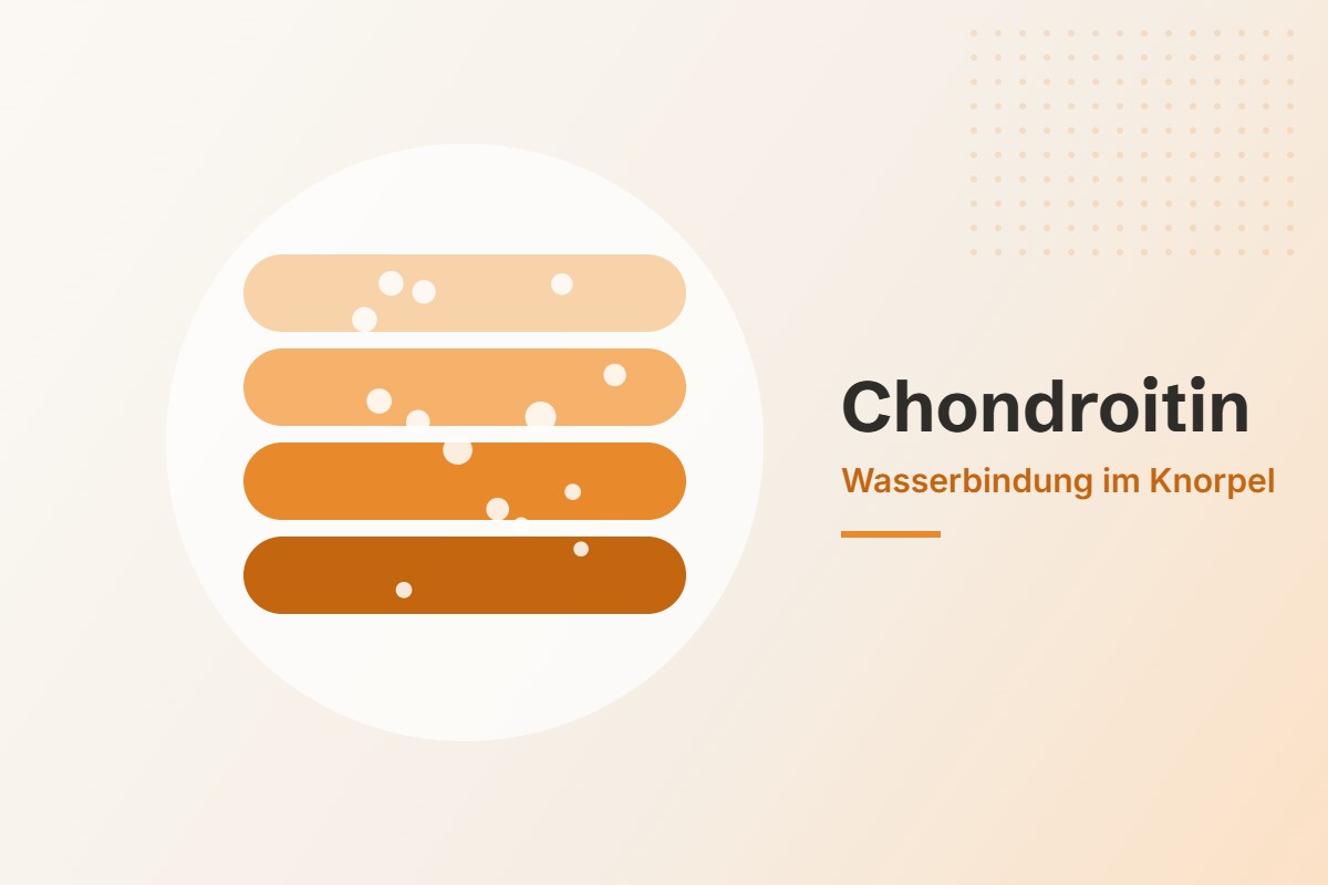 Chondroitin