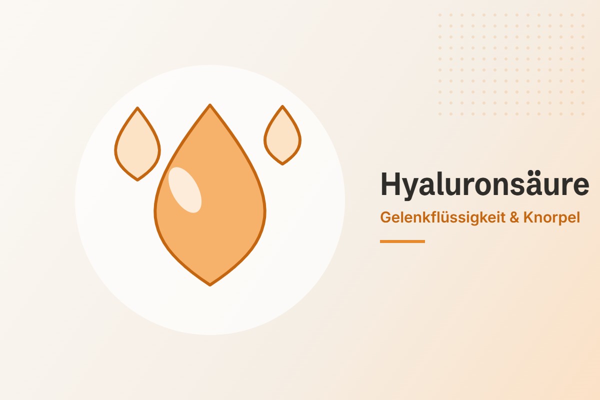 Hyaluronsäure